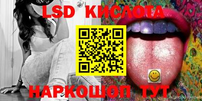 шишки Заволжье