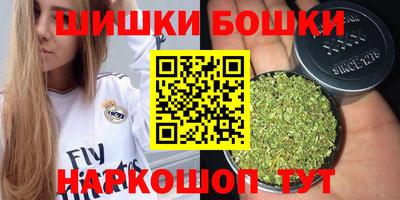 шишки Заволжье