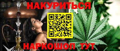 шишки Заволжье