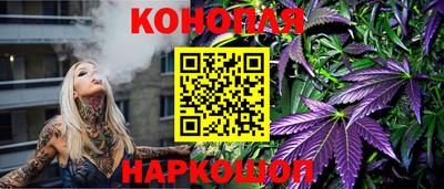 индика Заводоуковск