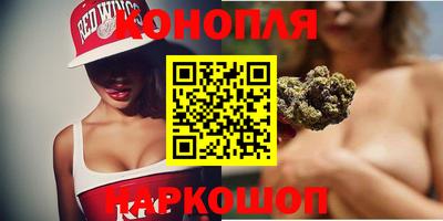 шишки Заволжье