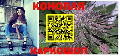 шишки Заволжье