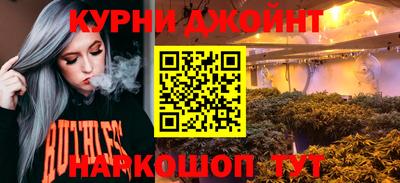 шишки Заволжье