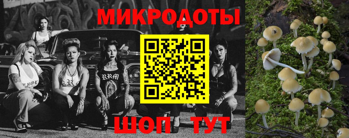 Галлюциногенные грибы Magic Shrooms  Вход с VPN  Медногорск 